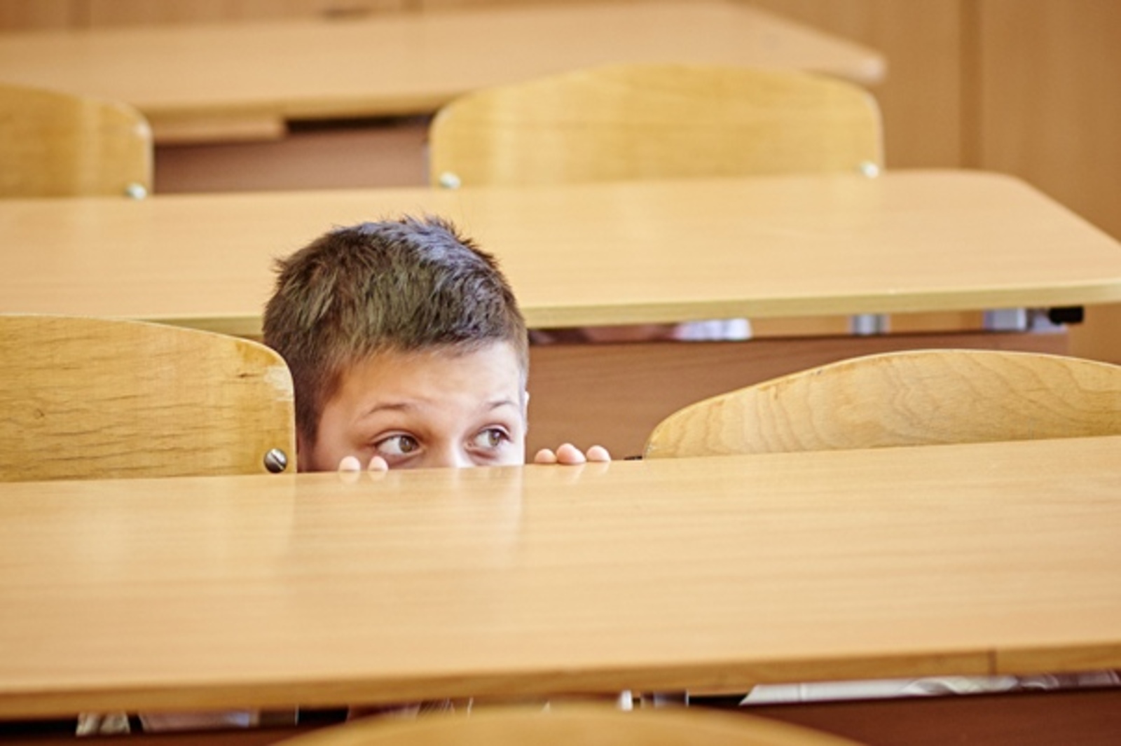 1673738783_pro-dachnikov-com-p-foto-uroka-v-shkole-iz-pod-parti-3