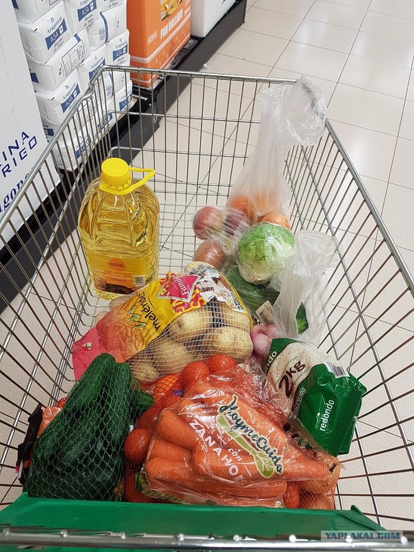 РЭО предложил освободить от НДС магазины за передачу излишков продуктов малоимущим