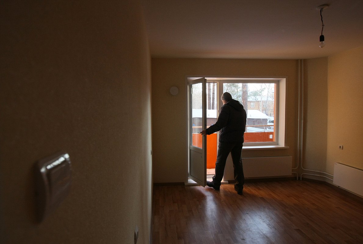 owl_wide_1200_60e488bdf0f55798ab1e68436a4ce18f